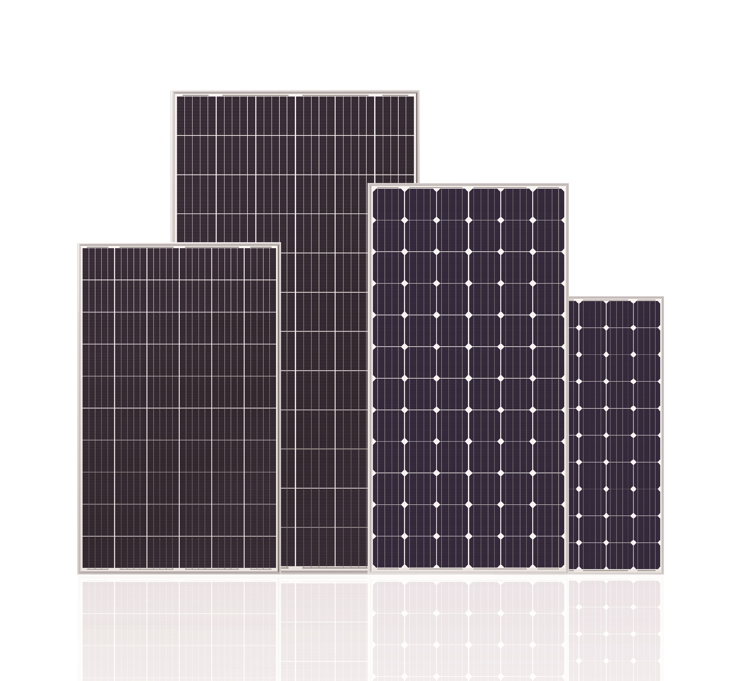 Seraphim standard solar modules, distributed by BSL Eco Energy